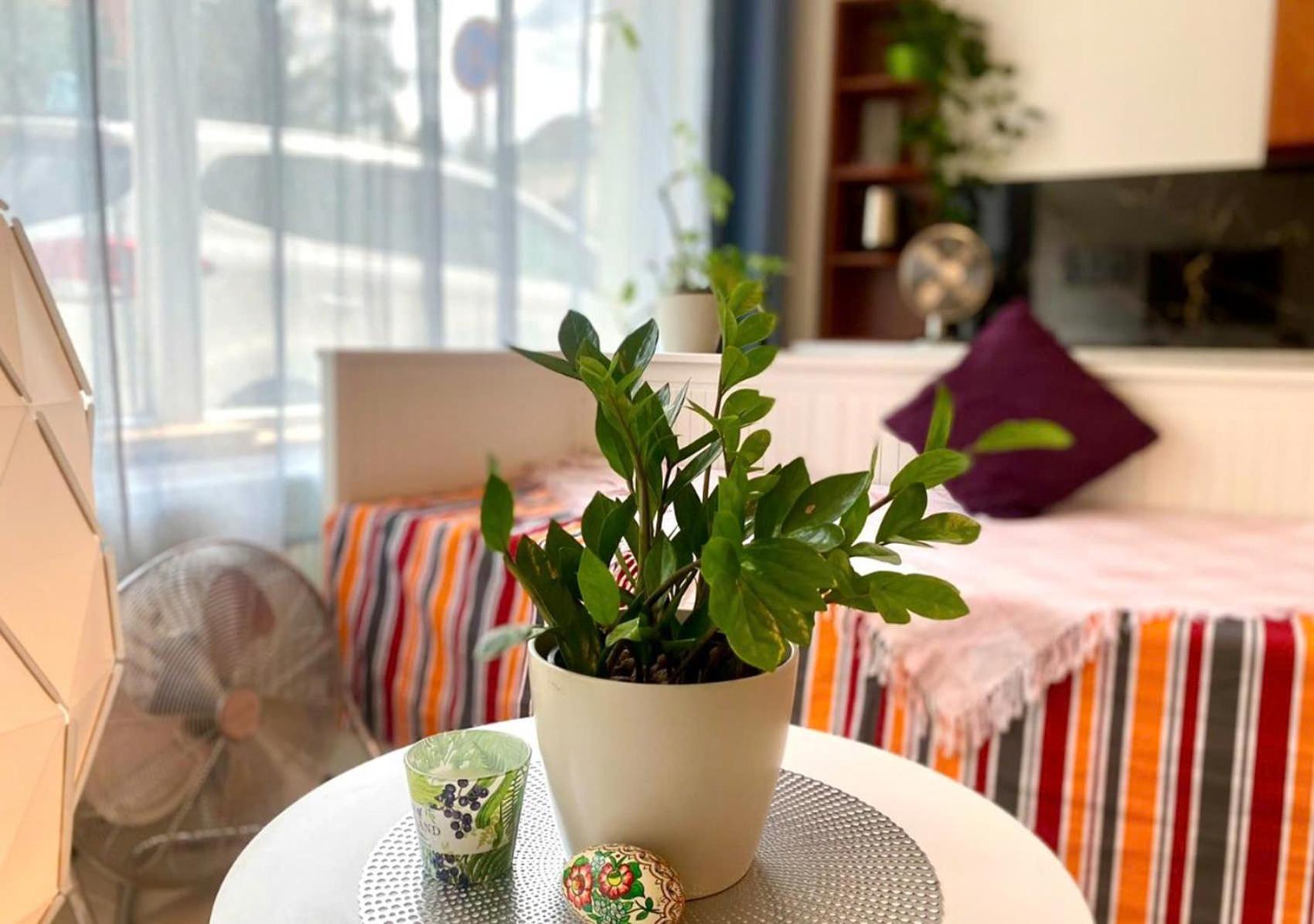 Green Studio Praha 2 L Ground Floor Free Parking Eksteriør billede